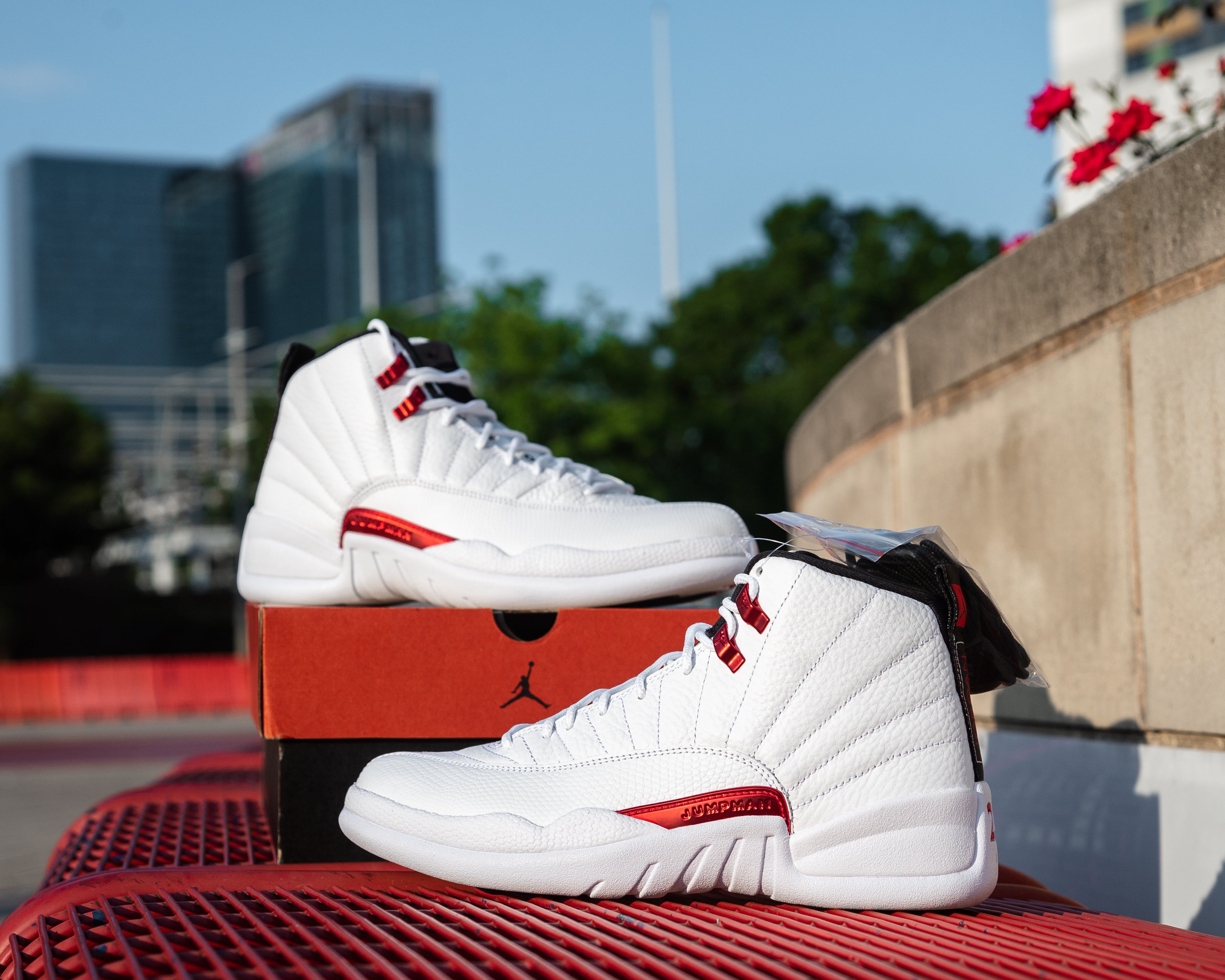 air jordan12 twist