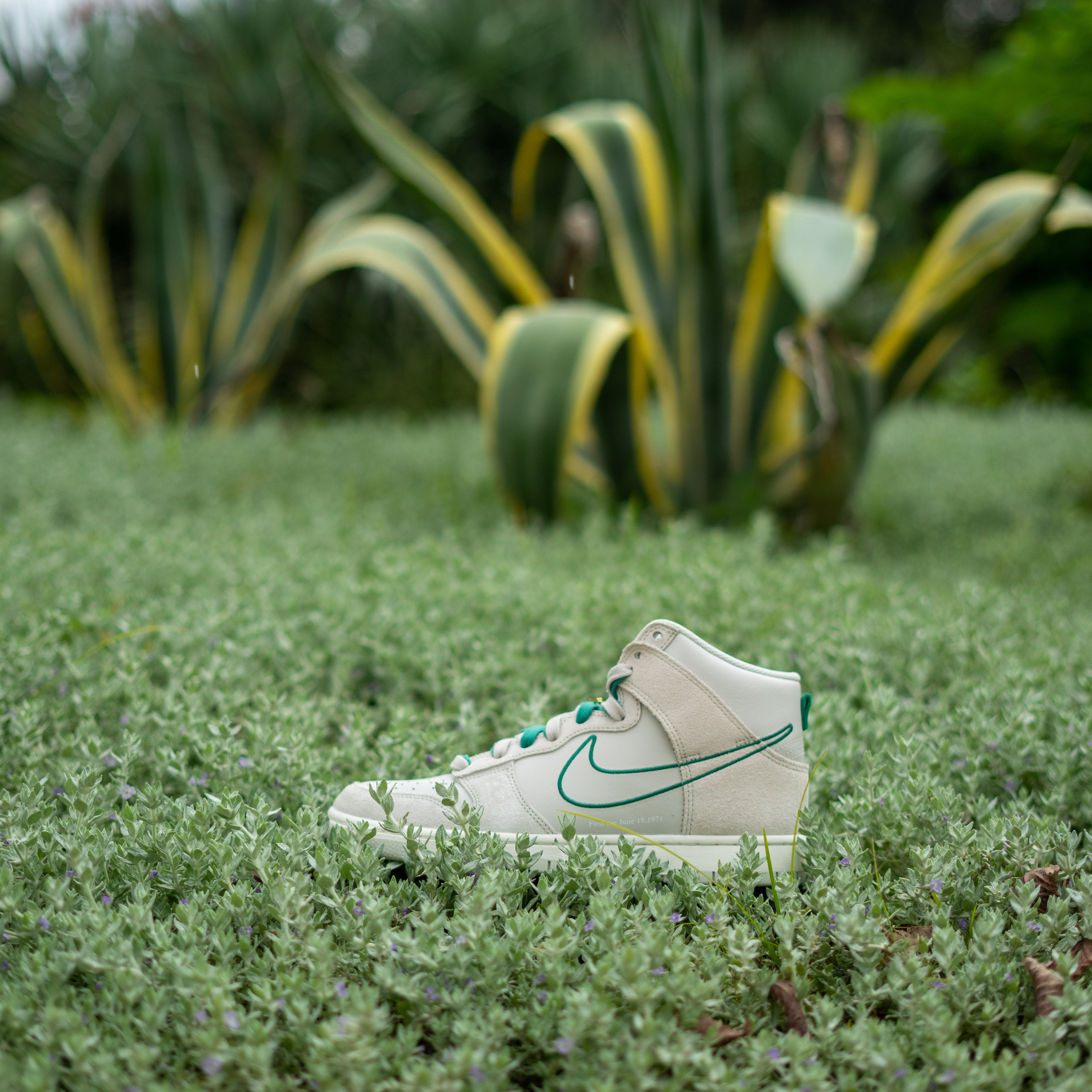 dunk hi se first use