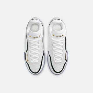 Nike Lebron XXIII "From This Point Forward"