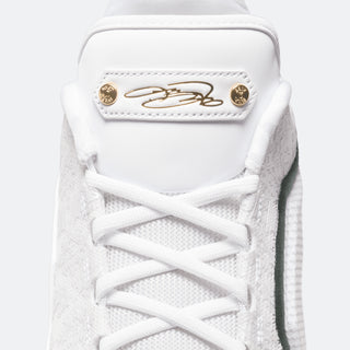 Nike Lebron XXIII "From This Point Forward"