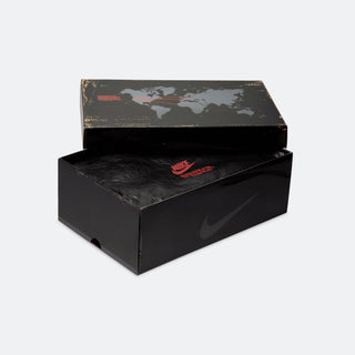 Nike Foamposite x Stranger Things