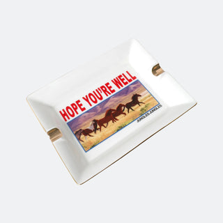 Jungles Hope You're Well Ashtray